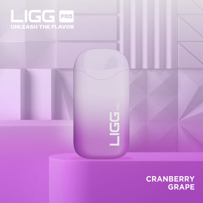 Ligg Pro Disposable 5500 Puffs 14mL 50mg | MOQ 10 Cranberry Grape