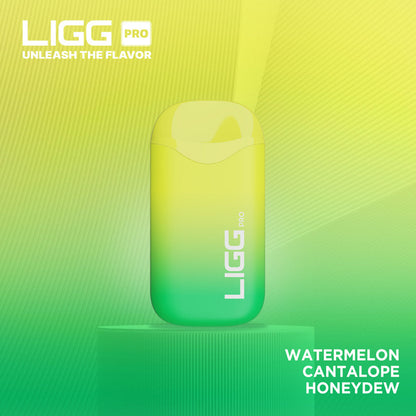 Ligg Pro Disposable 5500 Puffs 14mL 50mg | MOQ 10 Watermelon Cantalope Honeydew